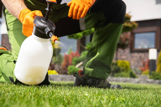 Professional Pest Control in Stuart, FL