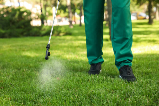 Best Pest Inspection Near Me  in Stuart, FL