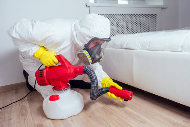 Best Termite Control Services  in Stuart, FL
