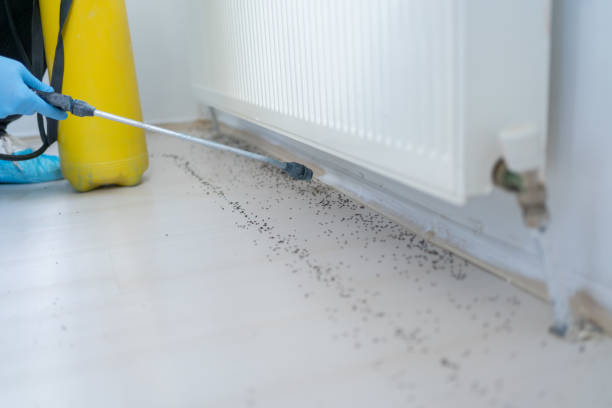 Best Best Pest Control Companies  in Stuart, FL