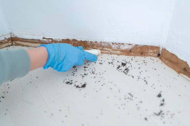 Pest Control Cost in Stuart, FL